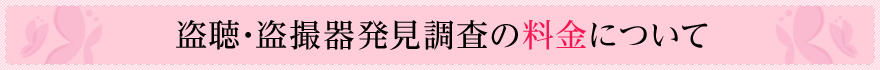 盗聴・盗撮器発調査の料金について