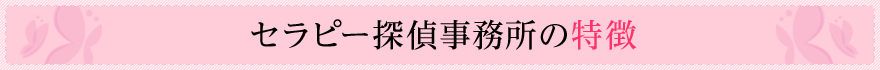 名古屋セラピー探偵事務所の特徴